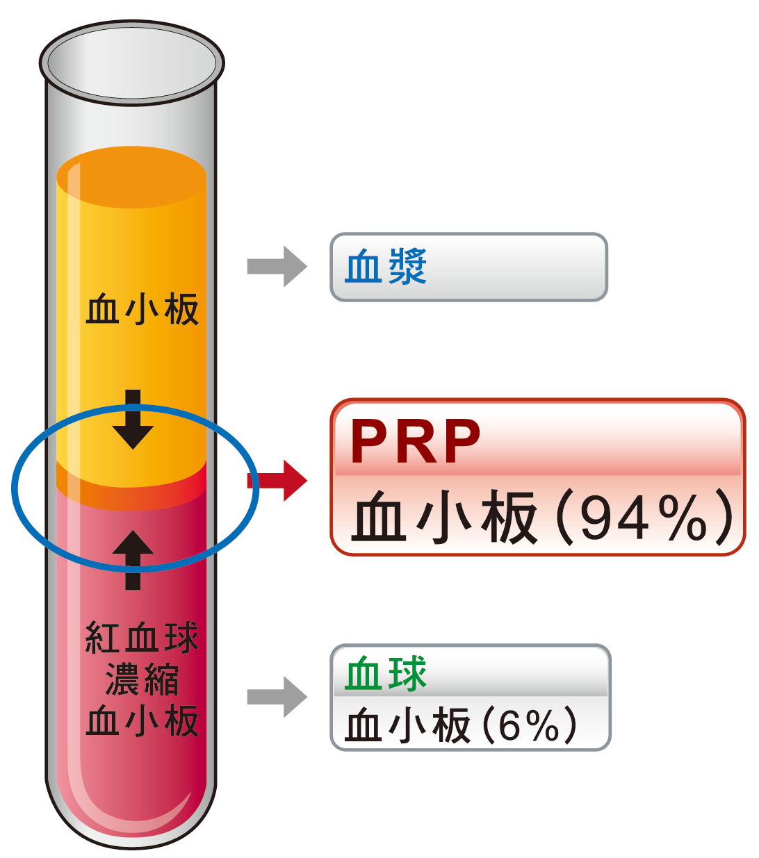 延續性與再生性