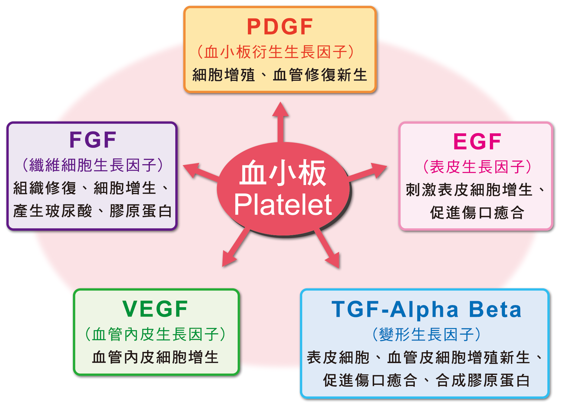 血小板所富含的生長因子成分